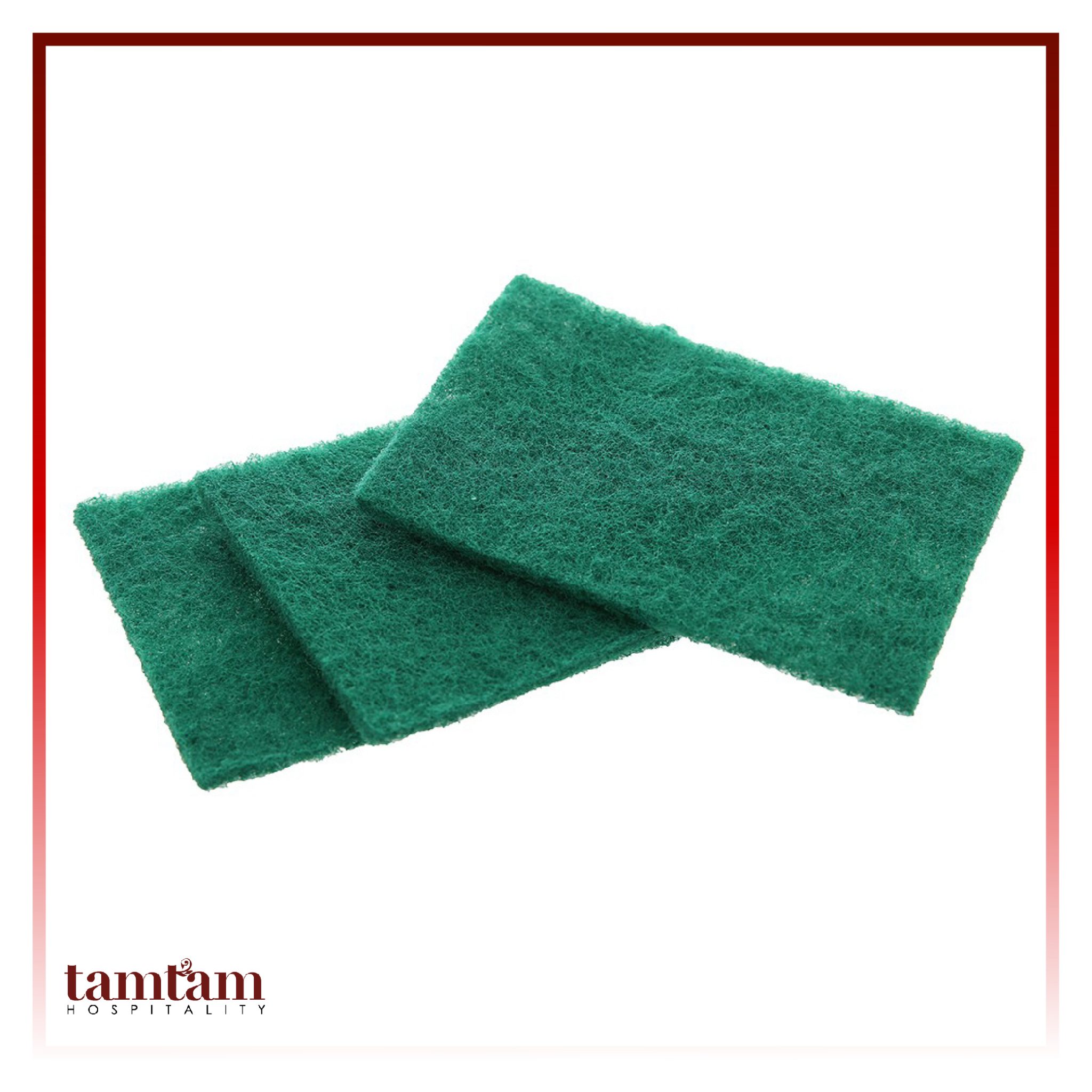 Miếng chà nhám xanh C-091