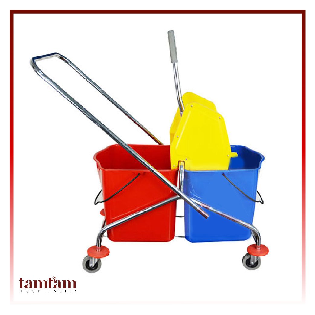 Xe vắt nước đôi B-043 - Ảnh 2