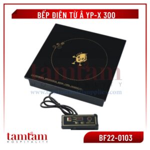 Bếp điện từ YP-X 300 có điều khiển