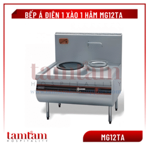 Bếp Á điện 1 xào 1 hâm MG12TA
